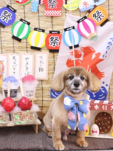 20240720チョビ助くん